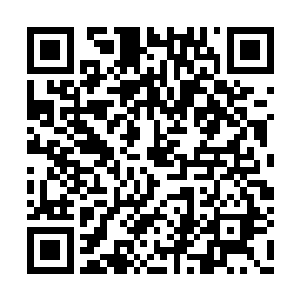 白衣青年挥出一道银光将扑上来地狱双头犬击退二维码生成