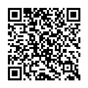 白衣青年男子显然对风清扬不是太过仔细的了解二维码生成