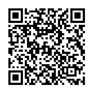 白起已经缓缓地一步步走向了在地上动弹不得的陈小练二维码生成