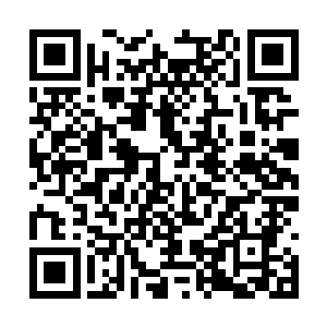 白道鸿心中回忆了一下路小鸢的六七重命陨的时候二维码生成