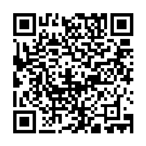 白雾族的人看凌菲的眼神里都清清楚楚的带着这四个字二维码生成
