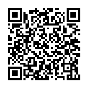 白雾族的这里所有人都是一起经历过无数生死的二维码生成