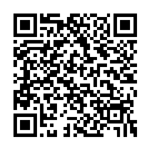 白静云也只能将其归结到林铭妖孽般的悟性上了二维码生成