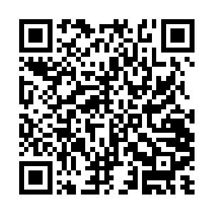 白面这个时候也感受到自己的身体确实没有力气了二维码生成