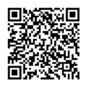 白香竹第一时间便已经看出这是一头实力堪比化丹境的黑僵二维码生成