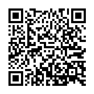 白馨如果知道自己期盼了已久的花嫁竟然是送她走向死亡的血衣二维码生成