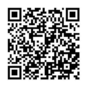 白马豪侠仅仅坚持了二十息便被无形的力量斩灭二维码生成