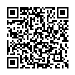 白骨蛇蟒就看到一头浑身火红色毛发的巨大狮子二维码生成