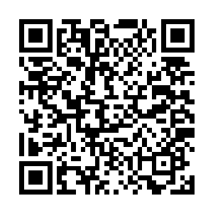 白高正在这一万块仙晶的蛋糕上又白白切走了五分之一二维码生成