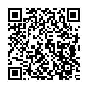 白鲨帮的老大沙瓦亲自带了好几辆车直接到了跑道上来接他们了二维码生成