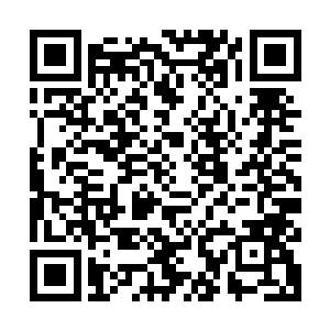 白默翰用手术刀将他里里外外切割的痛苦记忆全都被那一天傍晚二维码生成