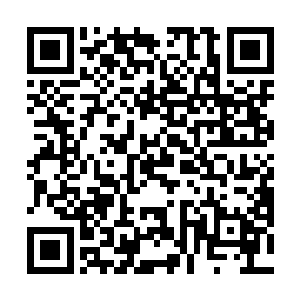 白龙岛背后更有一尊极有可能晋升天尊层次的超级强者二维码生成