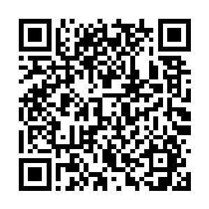 百万亿细胞吸收了升皇丹药力之后尽皆发生了裂变二维码生成