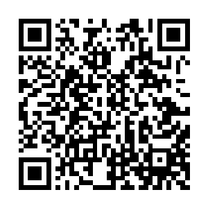 百代唱片和荣耀至死的合约在外界看来热热闹闹二维码生成