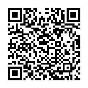 百分之九十以上的女主子们还是积极主动争取侍寝的机会的二维码生成