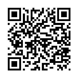 百分之五十完成度的远古熊族血脉二维码生成