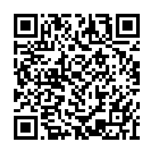 百分之五十的收益也是张东城的计划而不是实际二维码生成