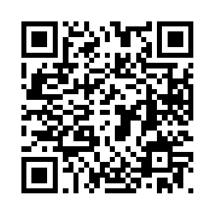 百分之十……百分之五十……百分之一百……二维码生成