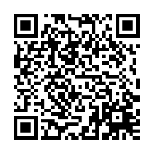 百剑神君几乎完全被那只巨猿抓住手脚犹如五马分尸一样撕碎二维码生成
