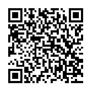 百宝阁明面上还是不明面上的东西张潇晗也了解得七七八八二维码生成