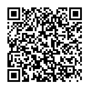 百年来中原一直都是定王府历代先王镇守他们的祖辈根本动弹不得二维码生成