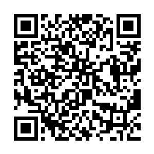 百年的时间龙傲天终于来到了绝空神尊当初说的地方二维码生成