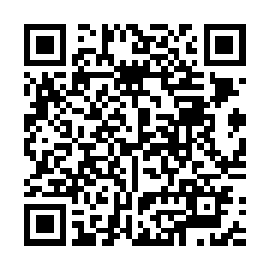 百度搜索本书名+小说领域看最快更新楚飞雁坐在椅子上二维码生成