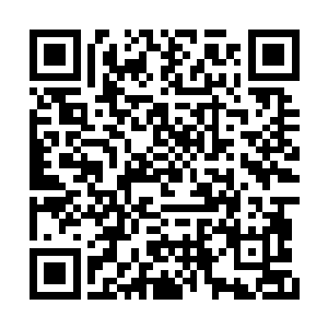 百忙之中分辨出这批蝴蝶和那些食人蝶不同之处二维码生成