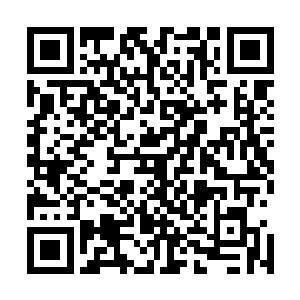 百战城三十多化形加一个妖王数千妖兵都被眼前的人给灭了二维码生成