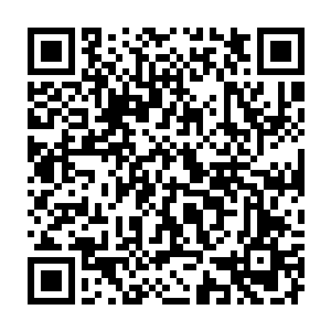 百族其他修士的灵魂也正在被其他圣级大修士分批分次地送回百族族地二维码生成