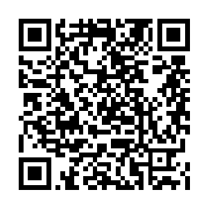 百族试炼场给你们提供了一个提升天道运用技巧二维码生成