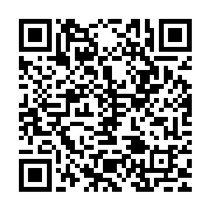 百无一用是书生的金继军这会儿就只能蹲在轿车屁股后面唱忐忑二维码生成
