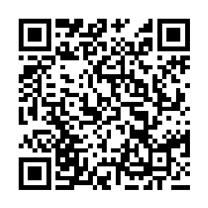 百渡搜索♂小^说^巴^士+小说名称♂可以阅读本书最新章节二维码生成