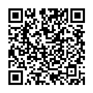 百灵看着四姨娘那张平静的面容出现了一丝的慌乱二维码生成