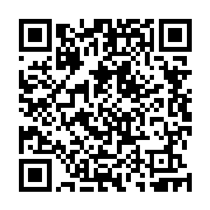 百草堂的那个顶级神初期的高手在刚才的争斗中也陨落了二维码生成