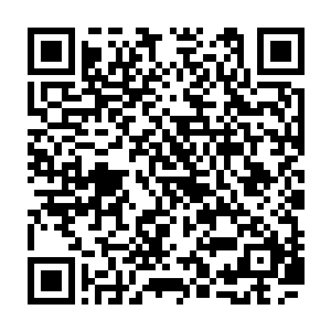 百草果包裹着魔气的气息在林烽的调和下形成了云魔果的气息朝着四处蔓延去了二维码生成