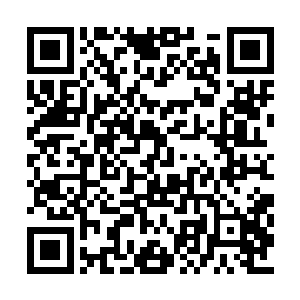 百足家的蛊仙虽然一直隐居在百足天君的洞天里二维码生成