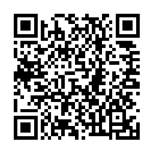 百里尾生终于察觉到瓶子里的毒蜘蛛渐渐的松口了二维码生成