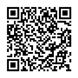 百里接到西门吹雪的命令之后火速朝着明珠赶去二维码生成