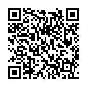 百里晓笙立马从衣袖里抓出一条又黑又粗的毛毛虫二维码生成