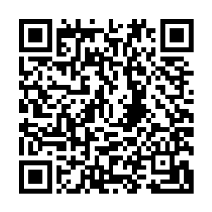 百里水母的每一根触须都可以控制一头位阶不高于自己的海兽二维码生成