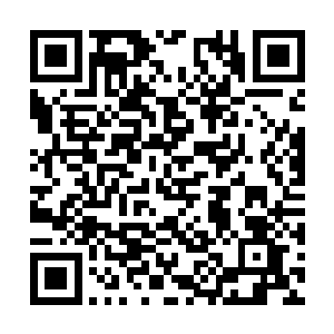 百龙帝国皇家没有修为高过不堕境界的帝国保护者二维码生成