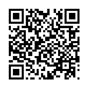 的其他主创有没有给我们带来才艺表演二维码生成