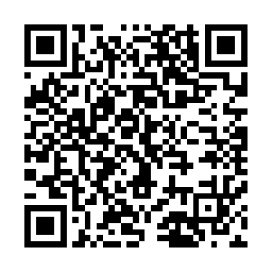 的动画片发行风格是喜欢先在一两家影院做开幕周积聚口碑二维码生成