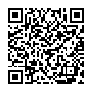 的原理确是与血息息相关的……大体是让血液魔化二维码生成