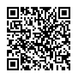 的外形……所以如果她还想继续借助这个身份来完成任务的话二维码生成