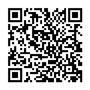 的大祸就被那不知道从哪降下来的一掌给彻底抹掉了二维码生成