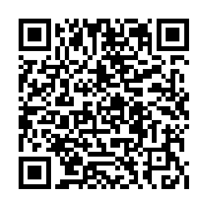 的失败让不少人都对大卫的执导能力提出了质疑二维码生成