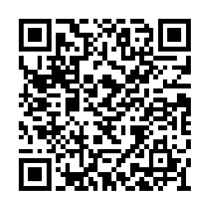 的思想是你的武术老师教的还是你自己无师自通二维码生成