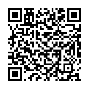 的情况虽然都是崩剧但最后的表演效果都是破壳二维码生成